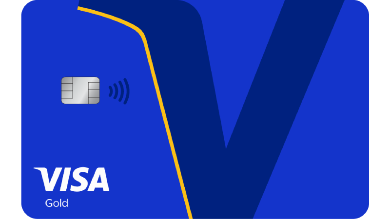 Visa Gold card