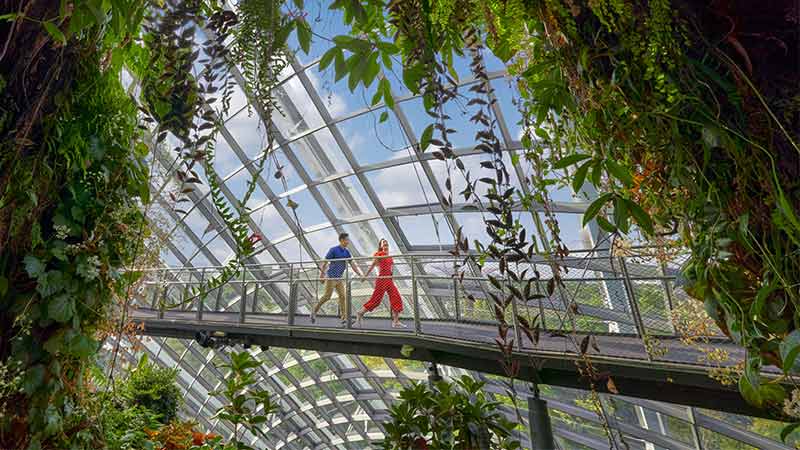 Gardens by the Bay's futuristic cooled conservatories, the Flower Dome and Cloud Forest in Singapore