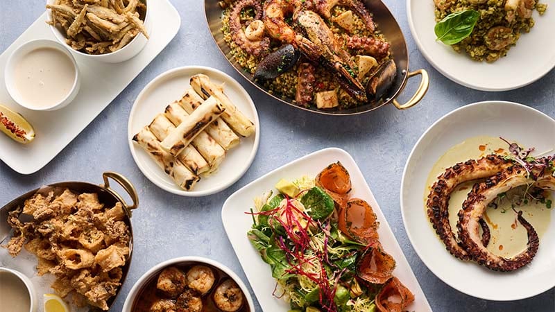 Assorted Mediterranean dishes including grilled seafood, fresh salad, fried appetizers, stuffed rolls, and creamy dips arranged on a table.